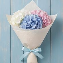 Букет цветов из:  Гортензия #REPLACE_PRED# Осоргино
