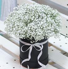 Цветочная композиция из Гипсофила в шляпной коробке #REPLACE_PRED# Осоргино